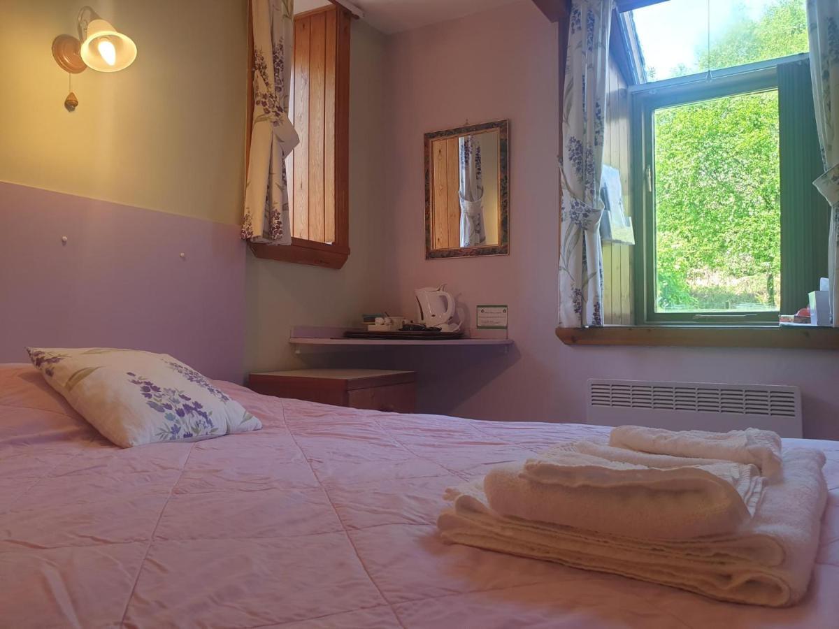 Bryn Elltyd Eco House Guest House Blaenau Ffestiniog Exterior foto