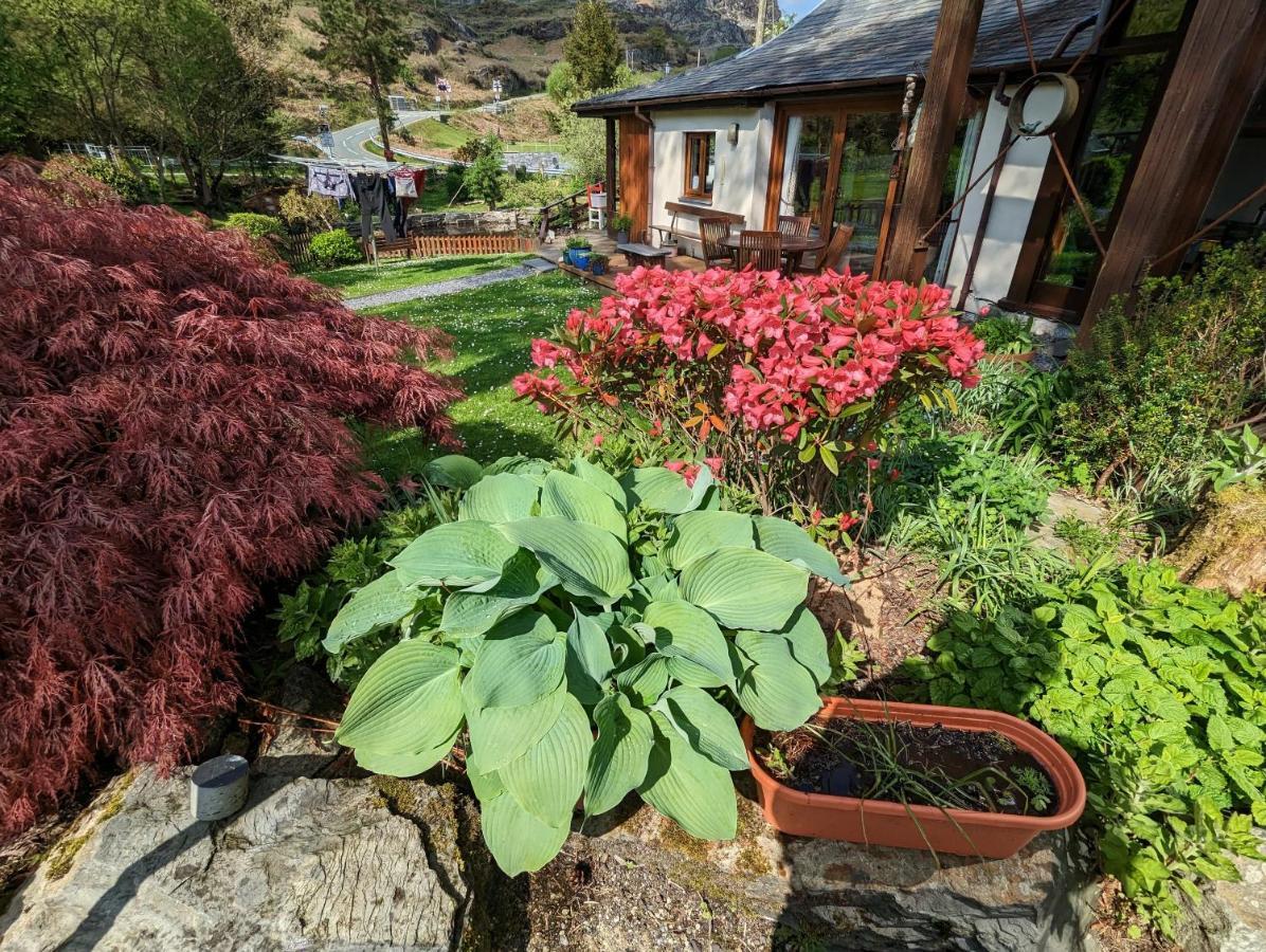 Bryn Elltyd Eco House Guest House Blaenau Ffestiniog Exterior foto