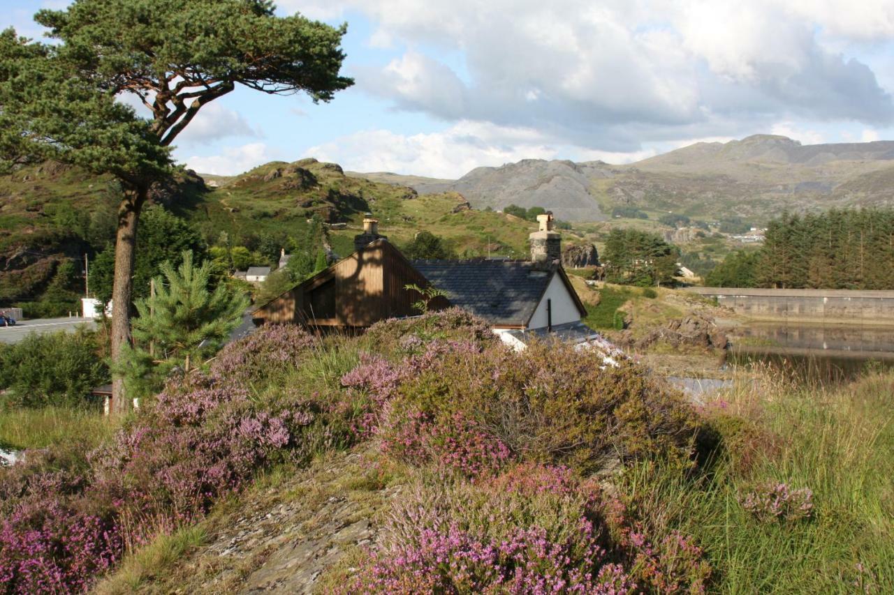 Bryn Elltyd Eco House Guest House Blaenau Ffestiniog Exterior foto